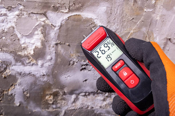 Best Certified Mold Removal  in High Bridge, NJ