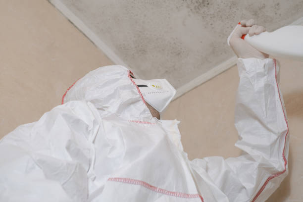 Best Emergency Mold Removal  in High Bridge, NJ