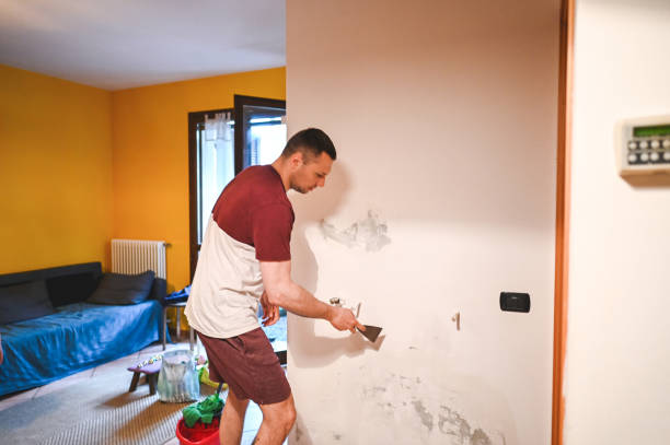 Professional Mold Removal in High Bridge, NJ